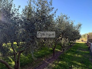 Terreno en venta en Móra d´Ebre
