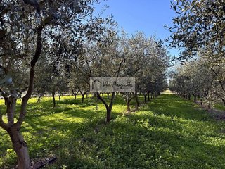 Terreno en venta en Móra d´Ebre
