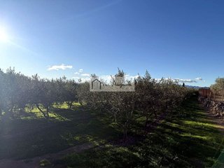 Terreno en venta en Móra d´Ebre