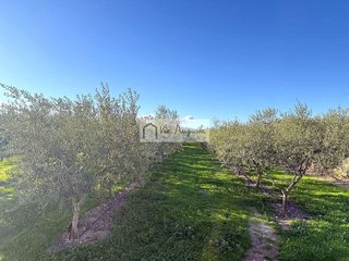 Terreno en venta en Móra d´Ebre