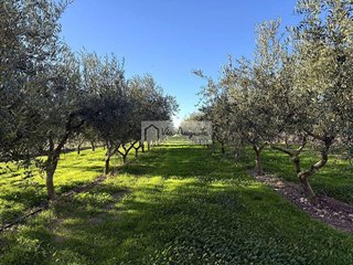 Terreno en venta en Móra d´Ebre