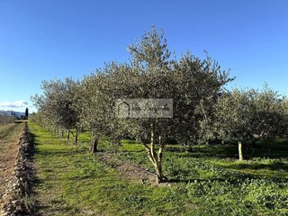 Terreno en venta en Móra d´Ebre
