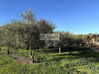 Terreno en venta en Móra d´Ebre