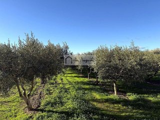 Terreno en venta en Móra d´Ebre