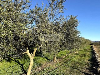 Terreno en venta en Móra d´Ebre