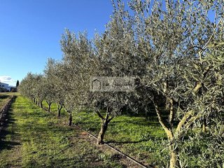 Terreno en venta en Móra d´Ebre
