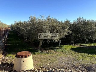 Terreno en venta en Móra d´Ebre
