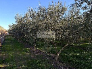 Terreno en venta en Móra d´Ebre