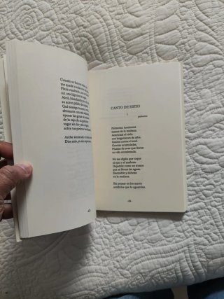 Libro quinta del 42 de José hierro