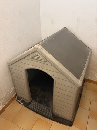 2 Casetas  Perro Grande Beige/Gris