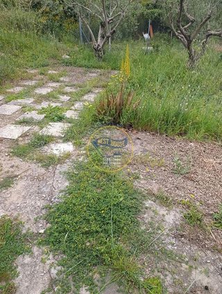 Casa rural en venta en Ontinyent