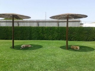 Chalet en venta en Noreste-Granja en Jerez de la Frontera