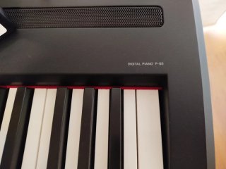 Piano digital con atril y  funda,soporte y banco.