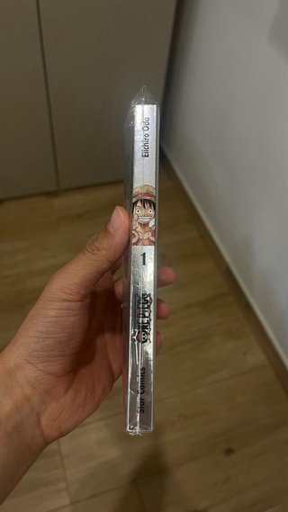 One Piece Volume 1 Silver Edition