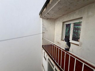 Piso en venta en Las Eras de Renueva en León