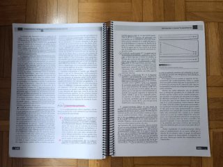 Fundamentos Teóricos y Prácticos de la Motivación