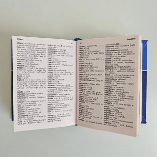 Dizionario inglese. Italiano-inglese, inglese-i...
