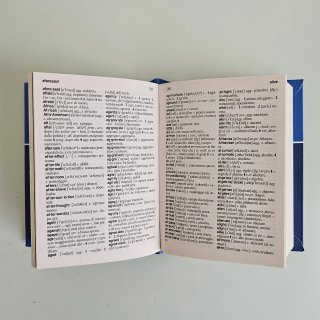 Dizionario inglese. Italiano-inglese, inglese-i...