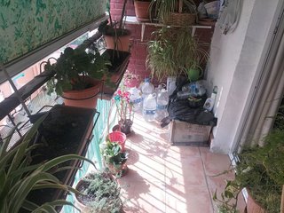 Piso en venta en Parque Victoria Eugenia en Málaga