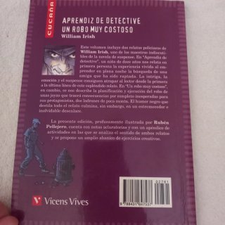 Aprendiz de Detective Un Robo Muy Costoso