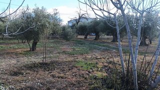 Chalet en venta en Baza