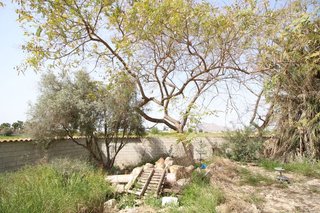 Casa en venta en Catral