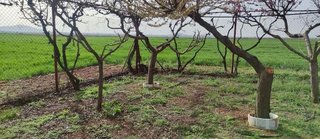 Casa rural en venta en Valdepeñas