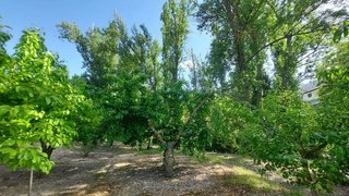 Cortijo en venta en Quesada