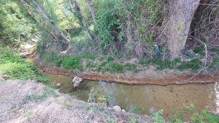 Cortijo en venta en Quesada