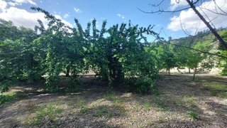Cortijo en venta en Quesada