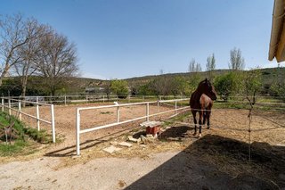 Casa rural en venta en Iznalloz