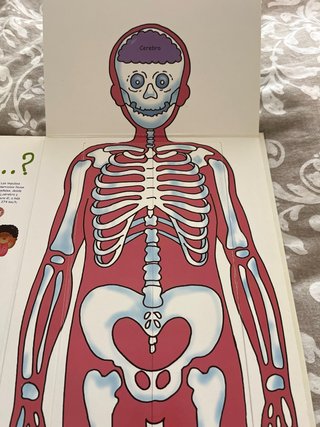 Mi libro del cuerpo humano