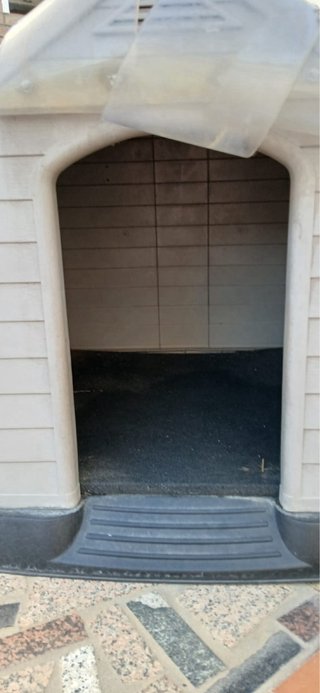 Caseta para perros