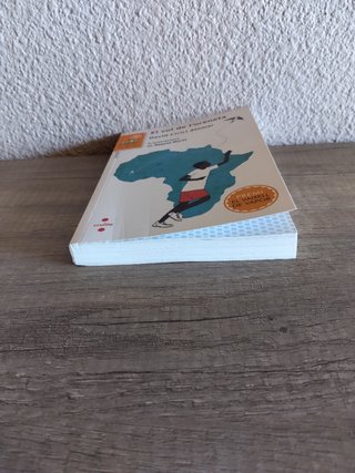 El vol de l'oreneta