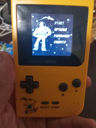 Lote Game Boy Pocket ips y un juego de regalo