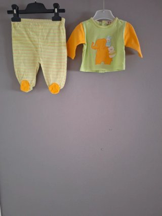 Conjunto bebé elefante y conejos