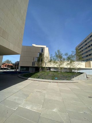 Local comercial en alquiler en Ensanche en Pamplona