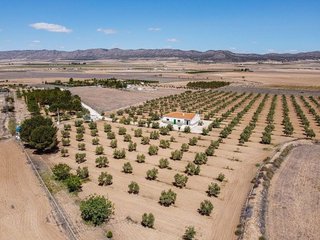 Chalet en venta en Yecla