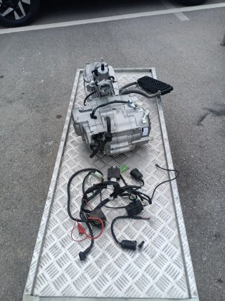 Motor 190z con arranque eléctrico con 12 horas