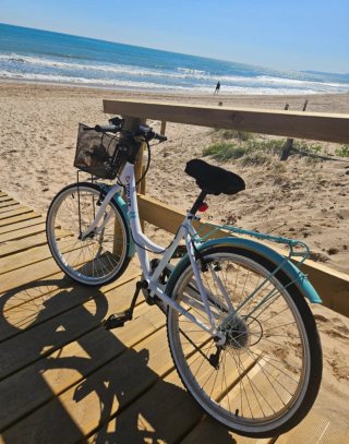 Bicicleta TOPLIFE Rodado 24