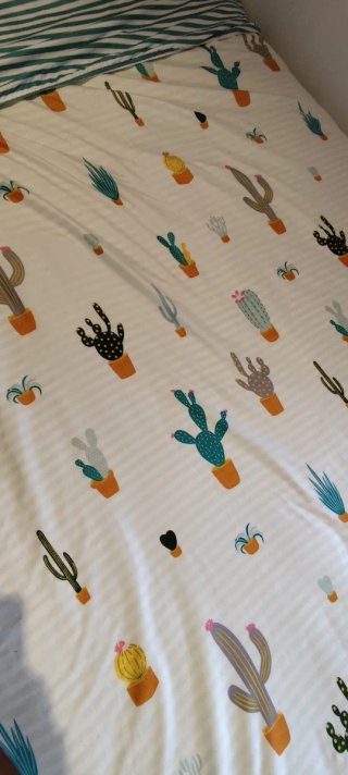 Funda Nórdica Cactus