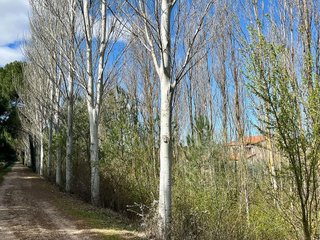 Chalet en venta en Tudela de Duero