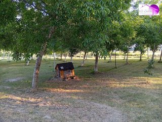 Casa rural en venta en Calatayud