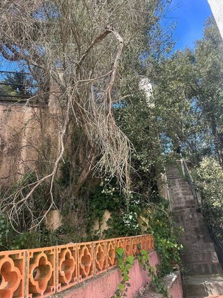 Chalet en venta en Calella