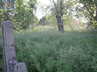 Chalet en venta en Castrelos - Sardoma en Vigo