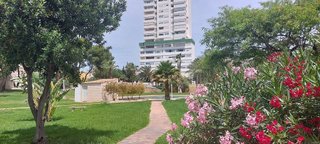 Piso en venta en Playa de Poniente en Benidorm