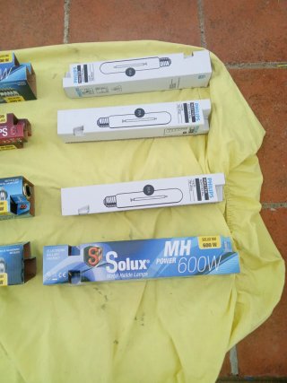 Lámparas Solux MH 600W Philips