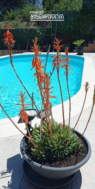 Chalet en venta en Masquefa