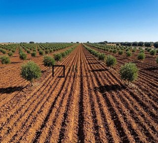 Terreno en venta en Argés