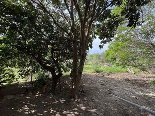 Casa rural en venta en Alguazas